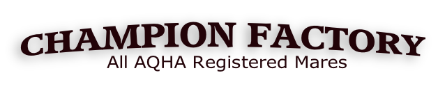 All AQHA Registered Mares