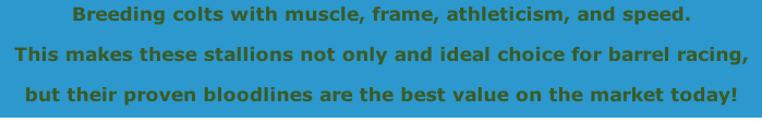 Breeding colts with muscle, frame, athleticism, and speed.
This makes these stallions not only and ideal choice for barrel racing, 
but their proven bloodlines are the best value on the market today! 